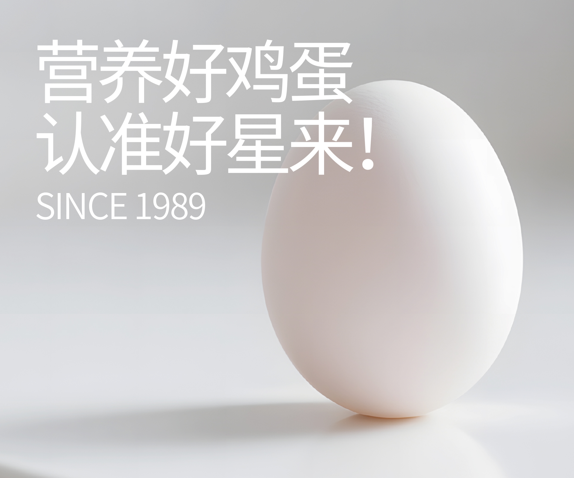 好星来品牌全案策划设计